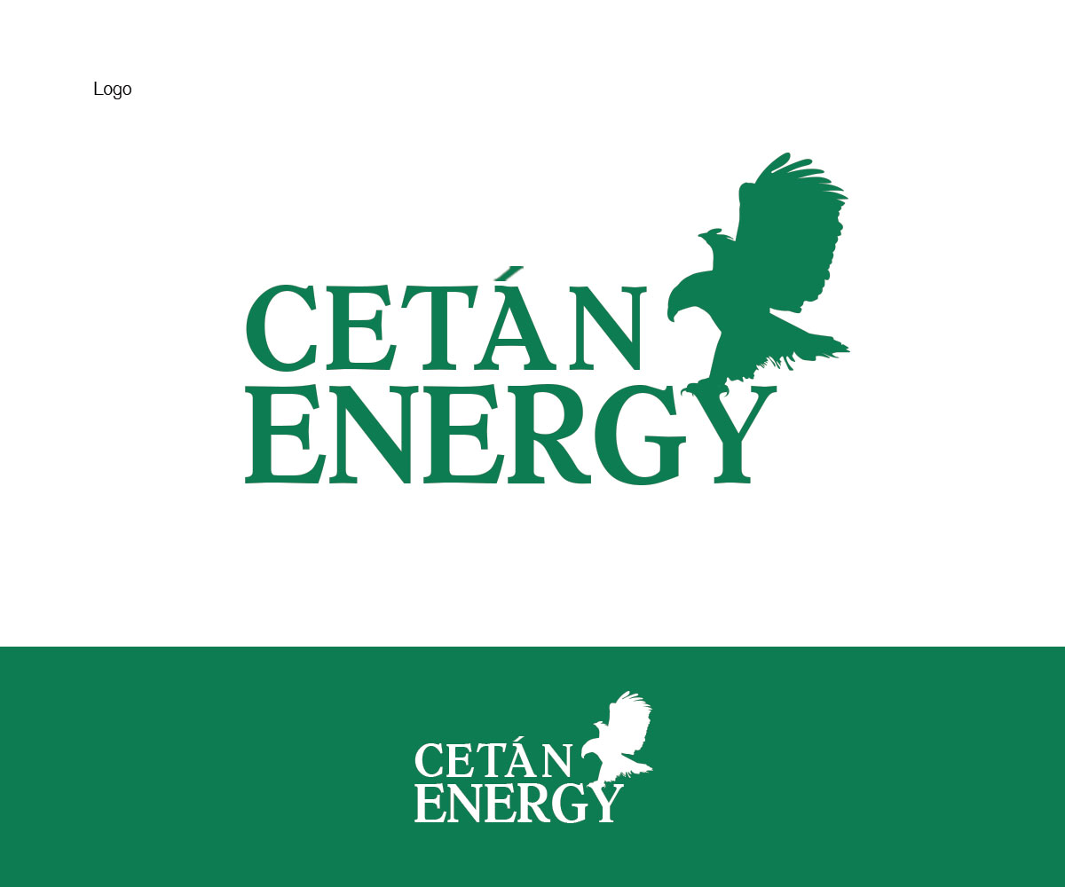 Logo Design by Mohib Qazi for CETAN Energy | Design #3113254