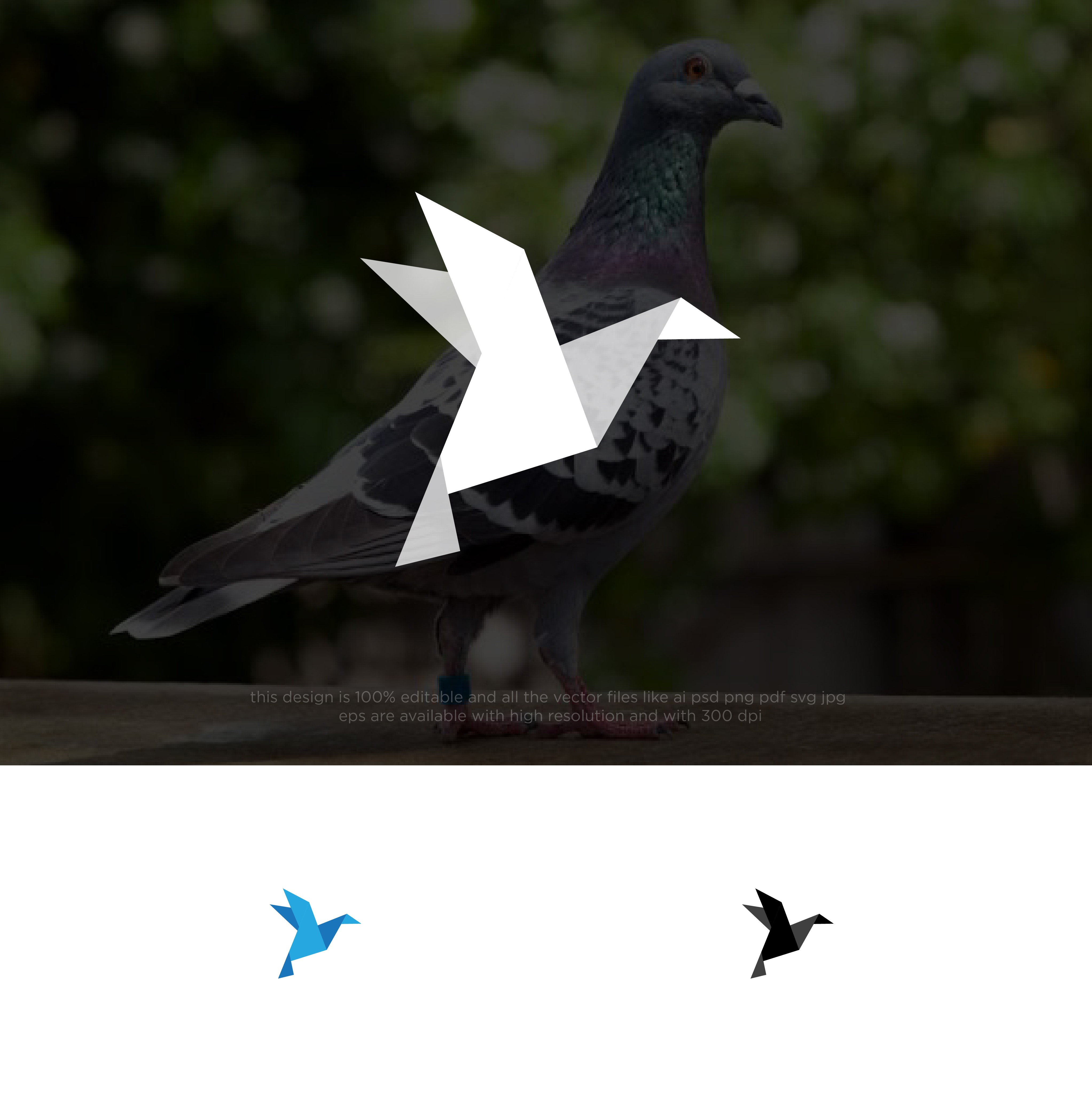 Logo-Design von chilliebird studio für dieses Projekt | Design #33601072