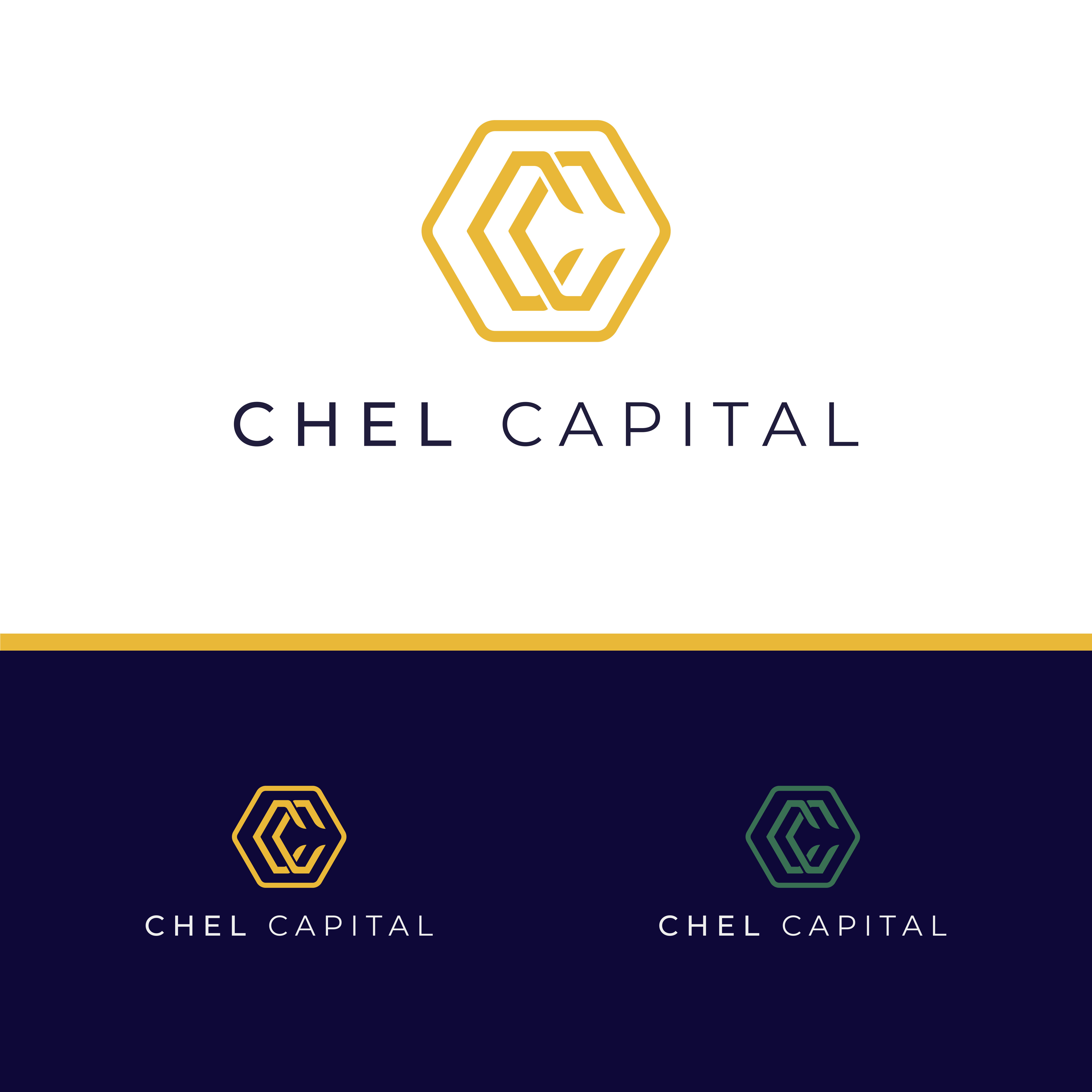 Design de Logo par Mahera23 pour ce projet | Design #33563000