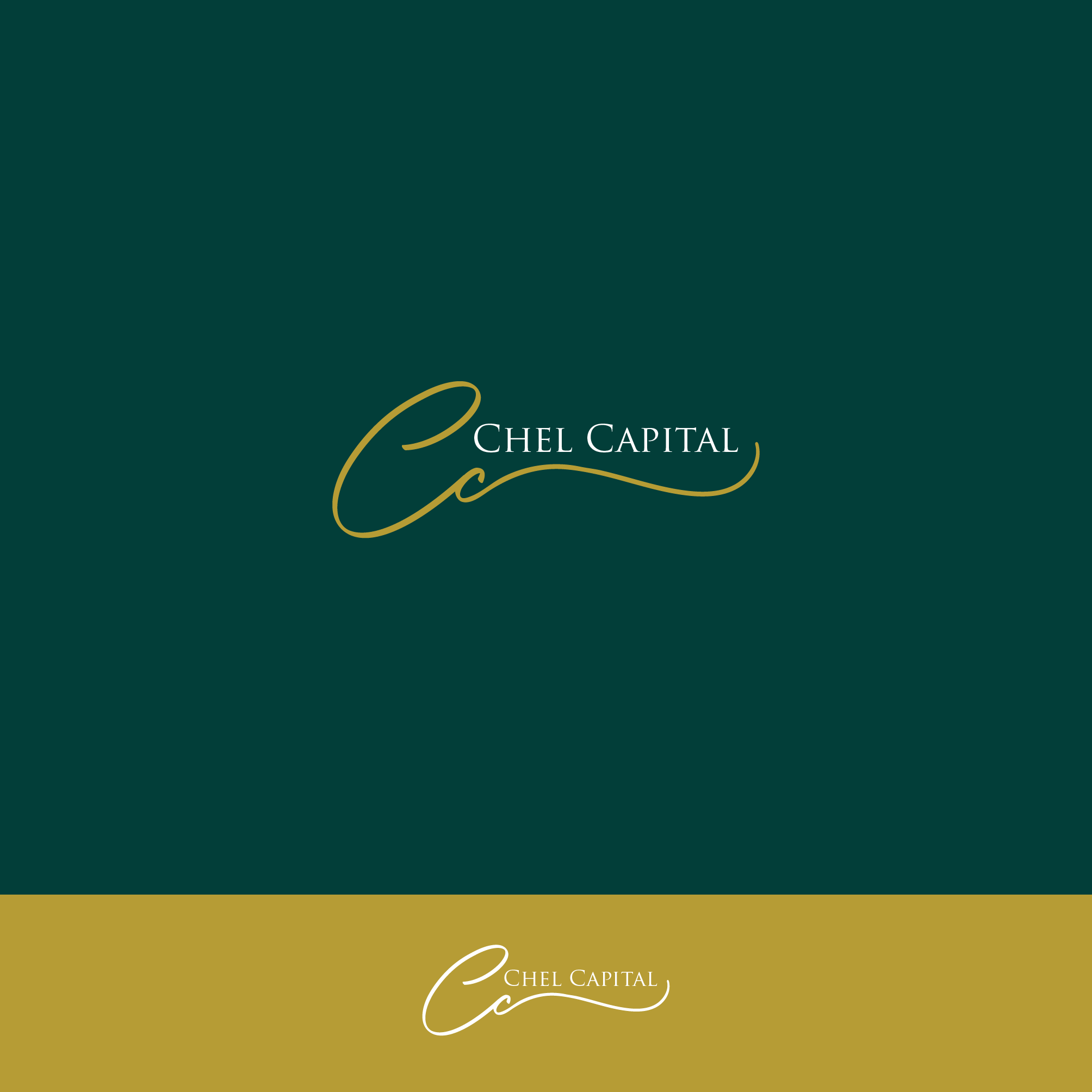 Diseño de Logo por alzac para este proyecto | Diseño #33575690