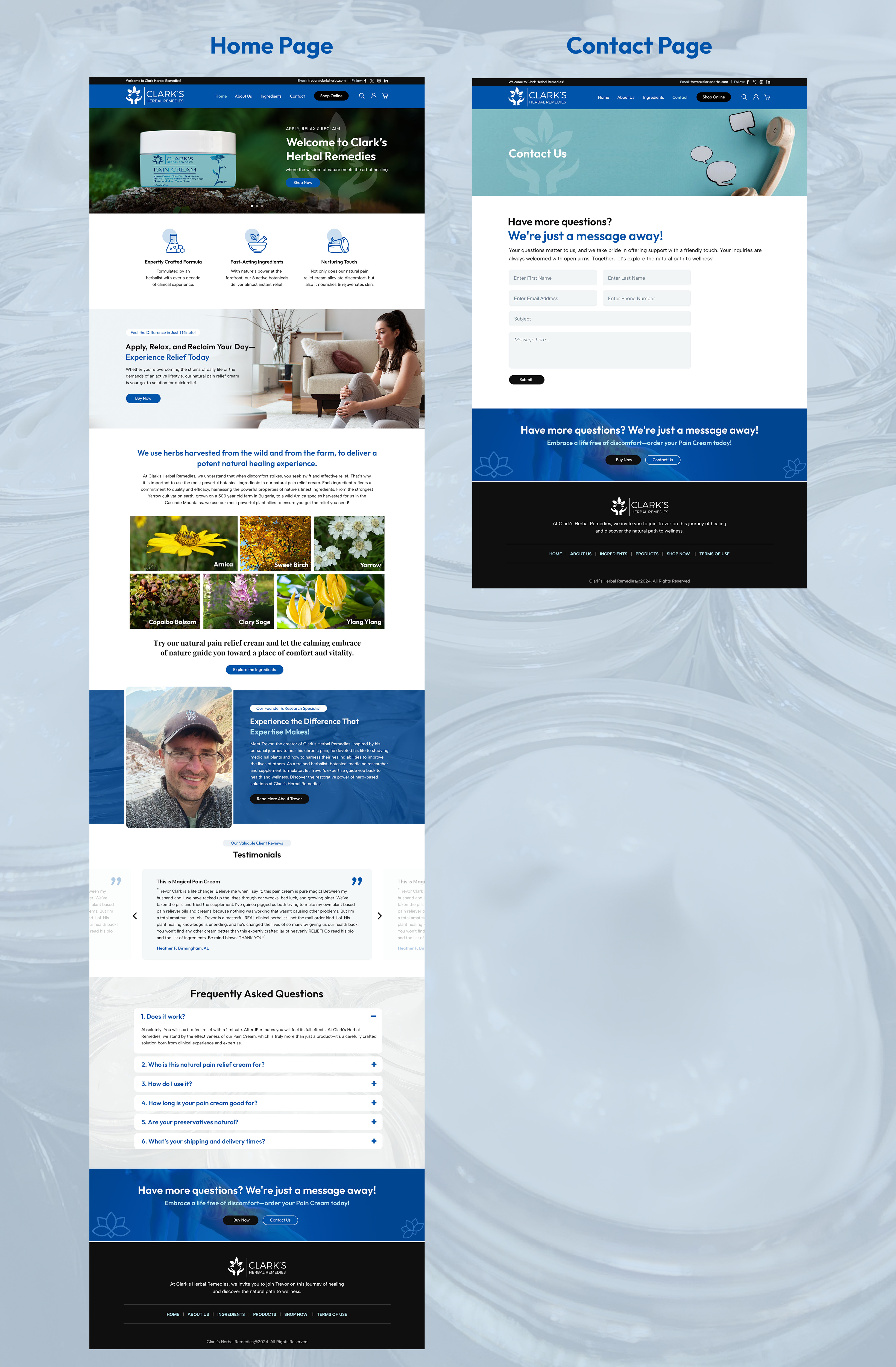 Web Design by Creative Slices for this project | Design #33625178