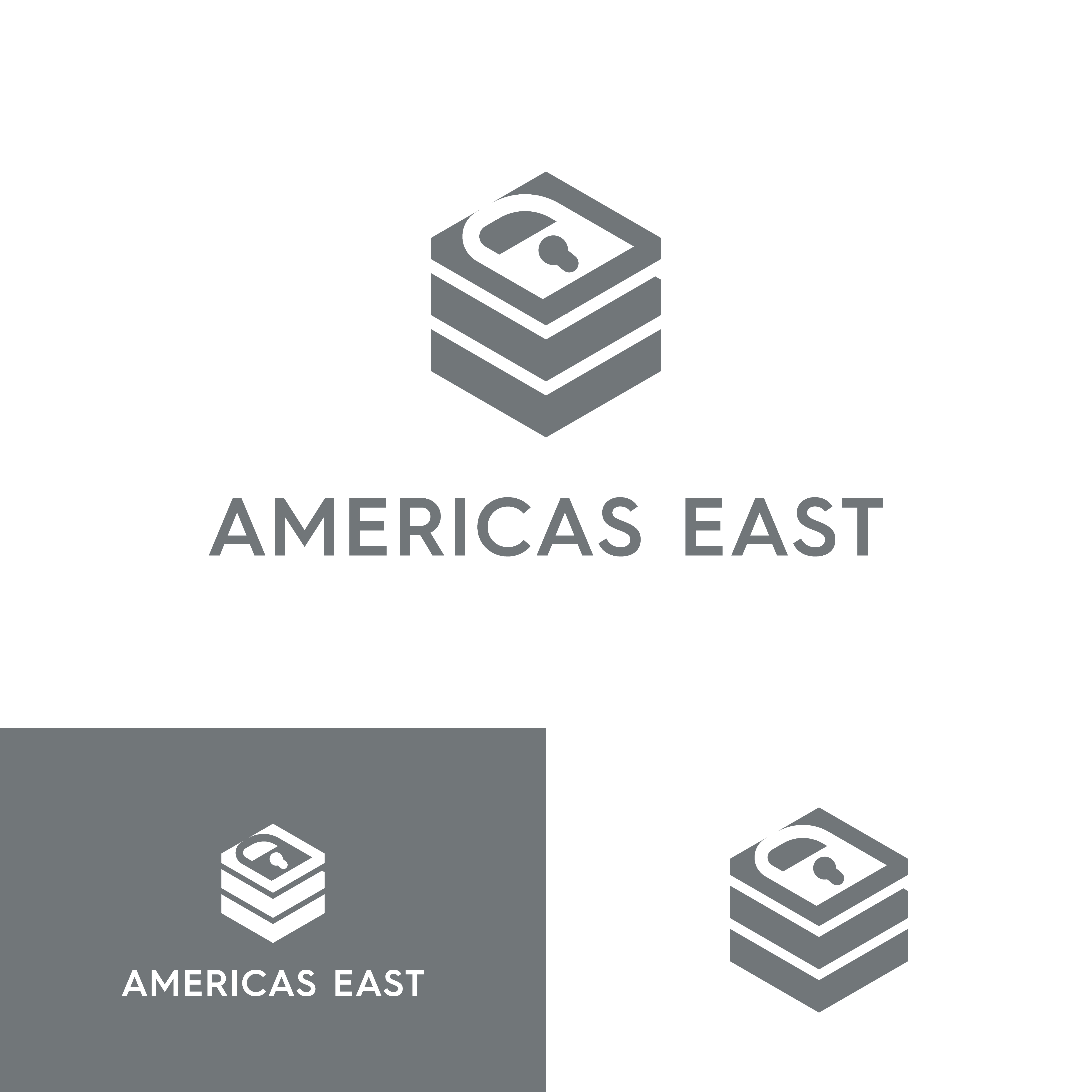 Logo Design by Miracle05.Design for this project | Design #33640993