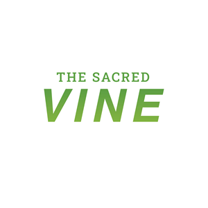 Logo Design by Mirajul Islam