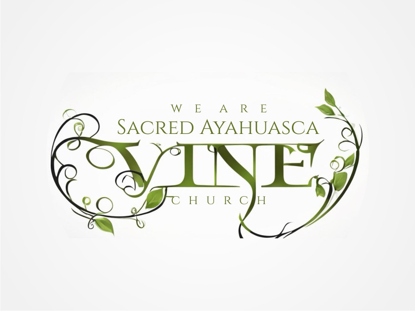 Logo Design by Atvento Graphics for this project | Design #33577842