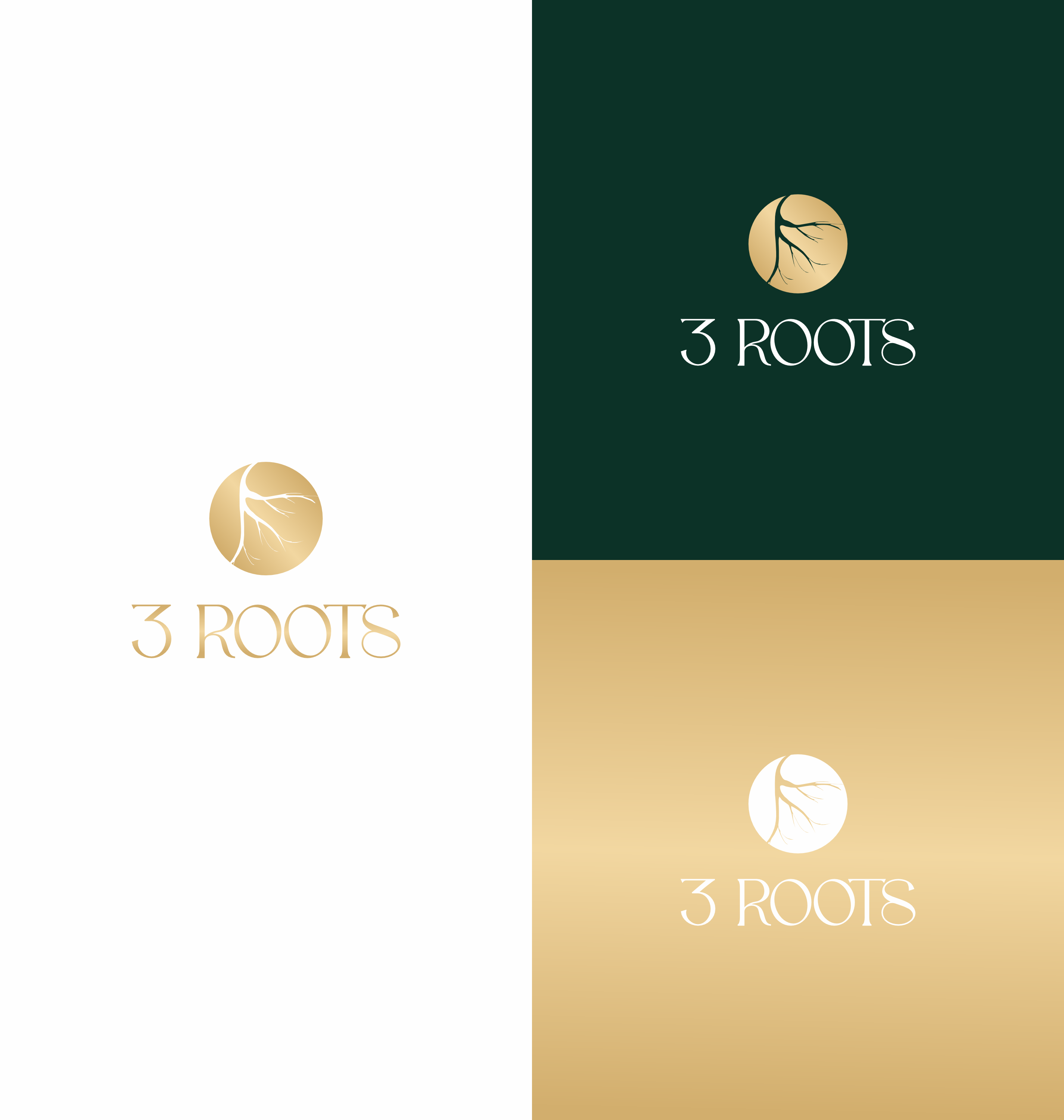 Logo Design by saesean for this project | Design #33598009