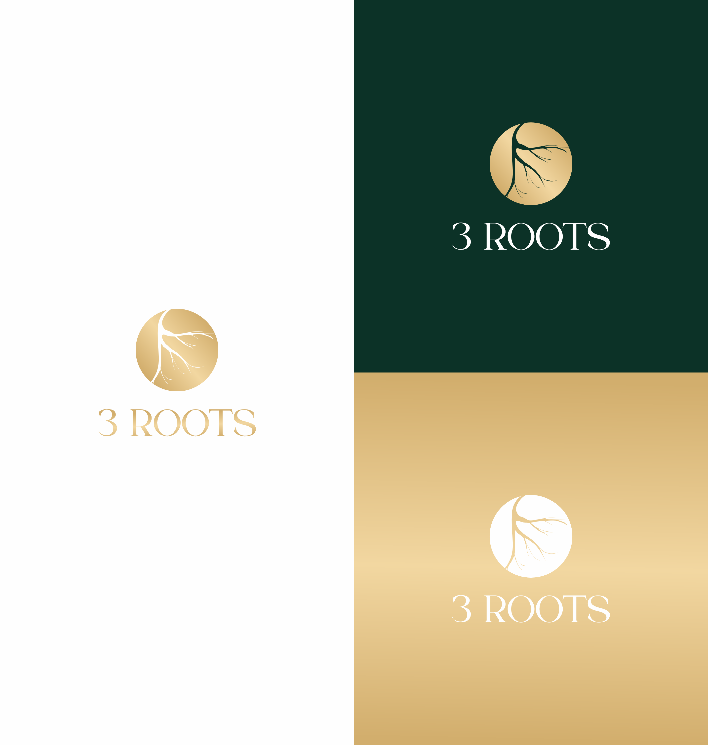 Logo Design by saesean for this project | Design #33613843
