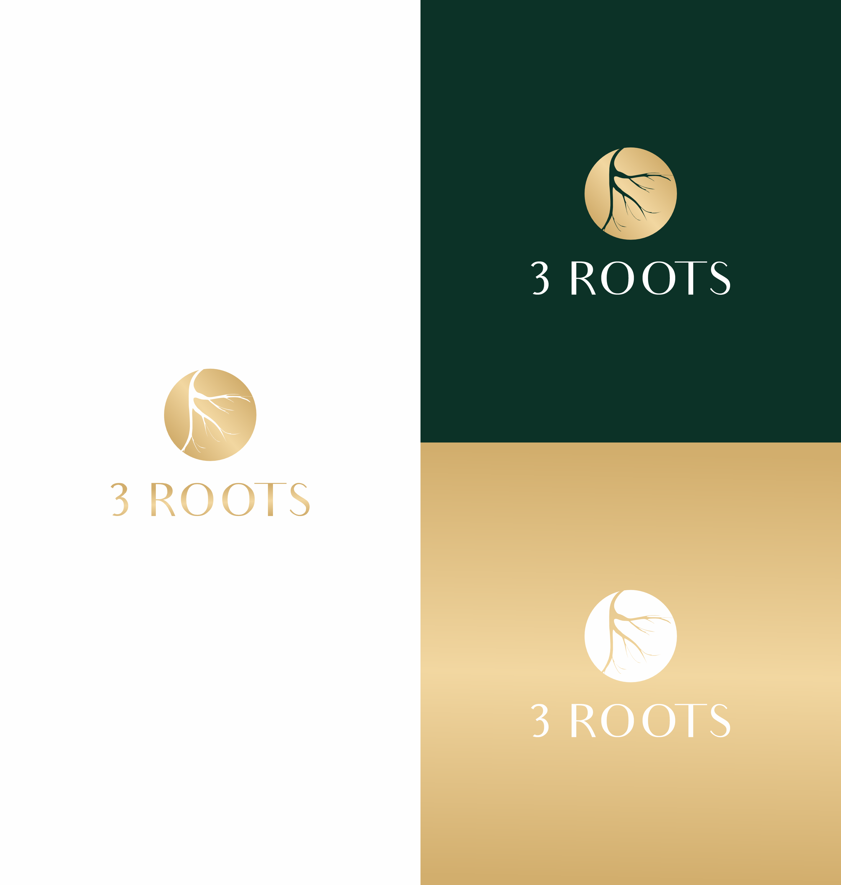 Logo Design by saesean for this project | Design #33613844