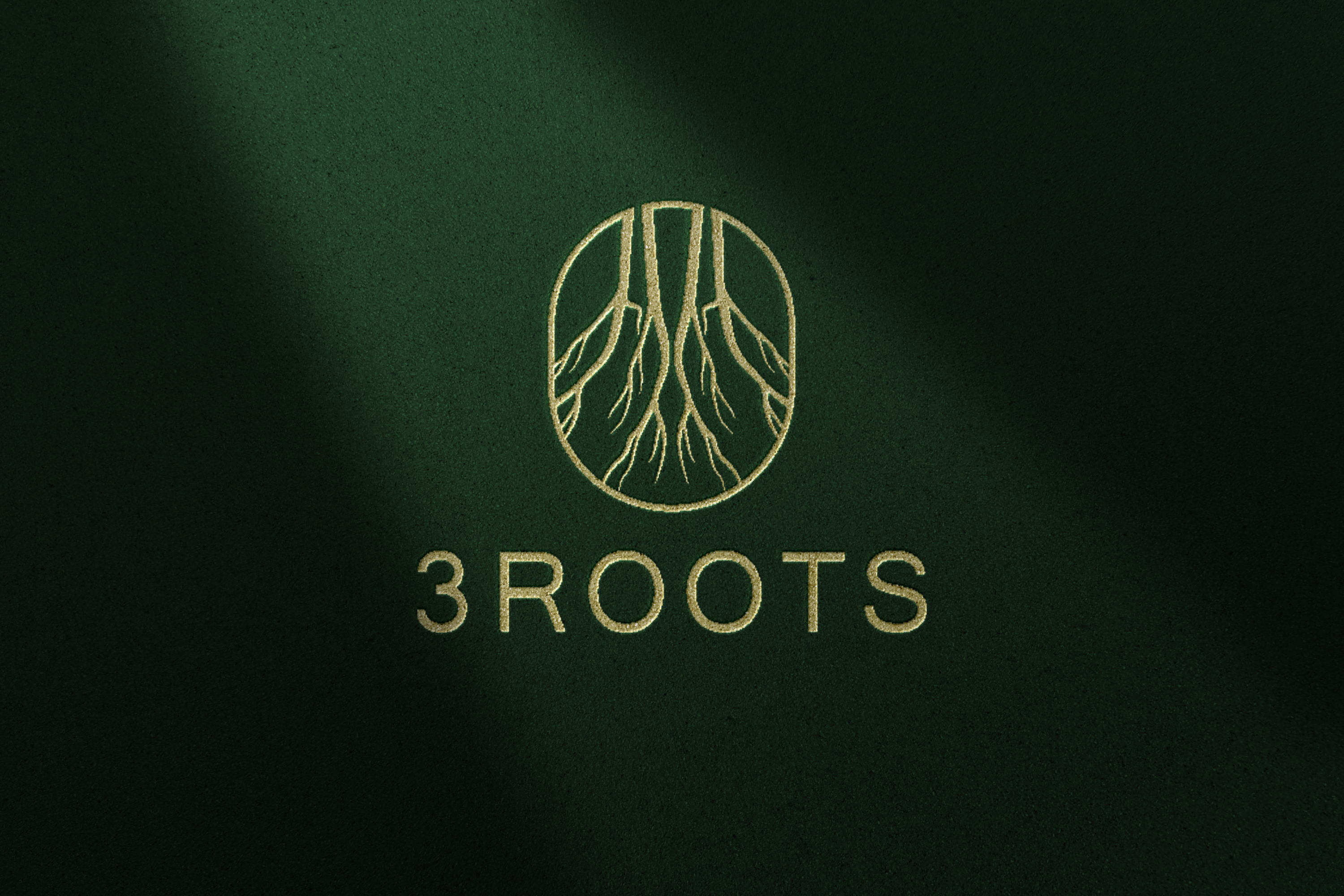 Design de Logo par BANI GD pour ce projet | Design #33614852