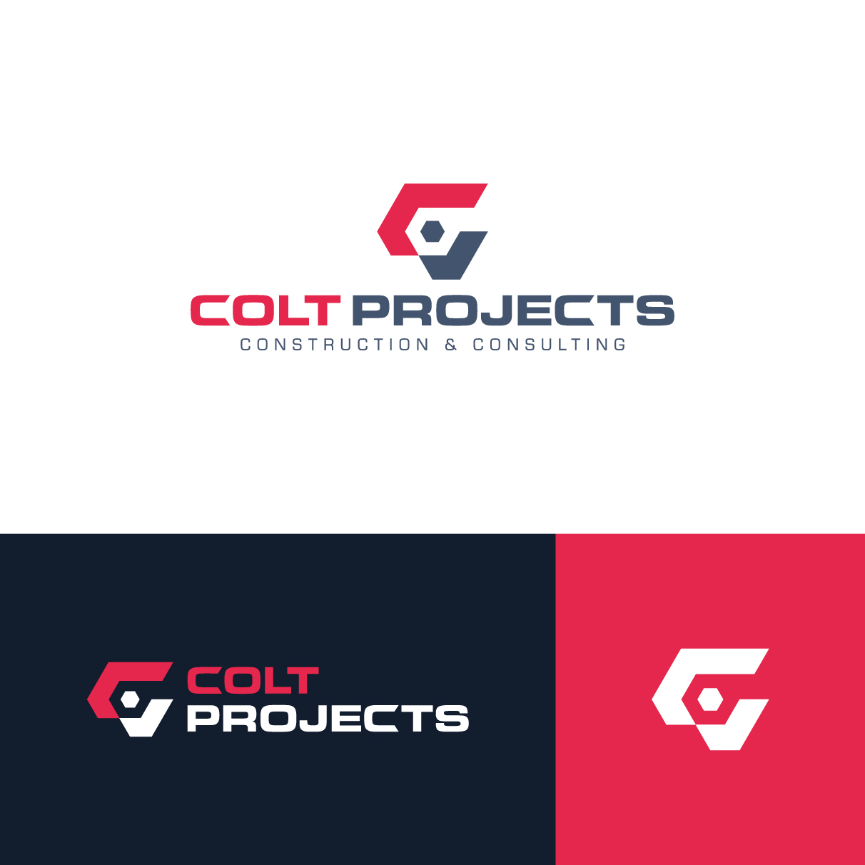 Diseño de Logo por The Lion Studios para este proyecto | Diseño #33577947