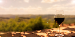 Graphic Design by USA CRAFT for YCF Design | Design: #33588408