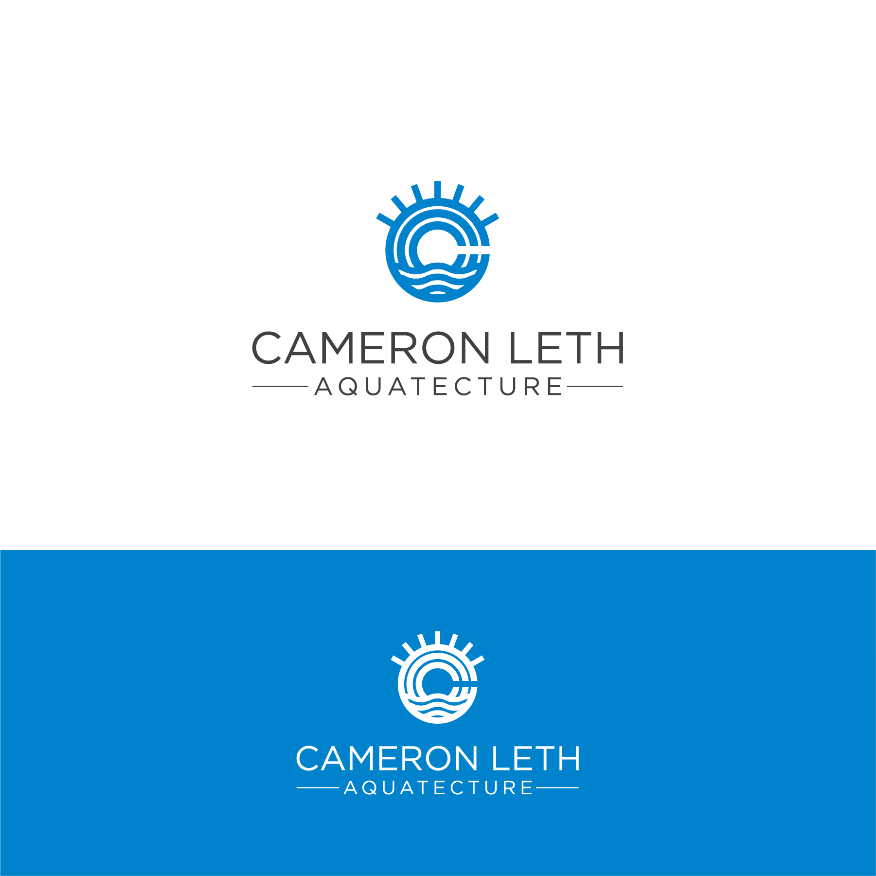 Logo Design by The Lion Studios for this project | Design #33582738