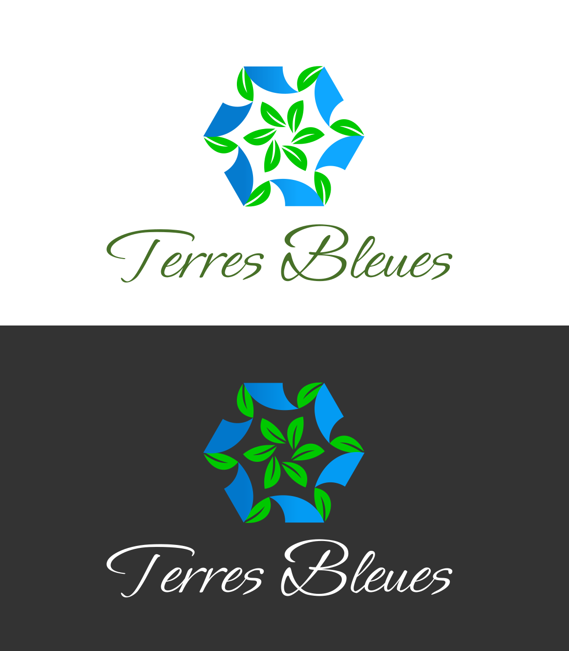 Logo-Design von Gulya profi für Azar Services | Design #33623518