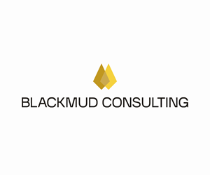 Logo Design by Tahaw