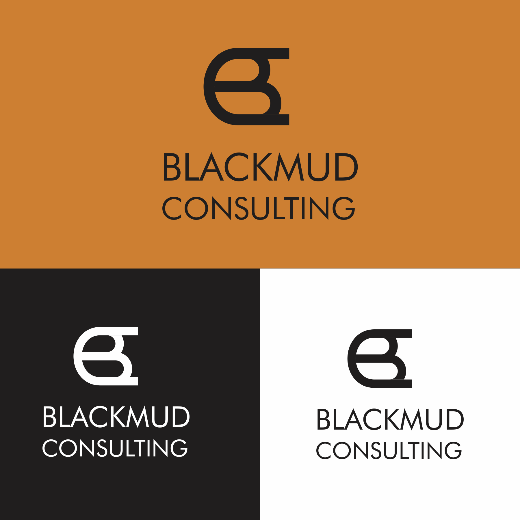 Design de Logo par AbidBinDawood pour ce projet | Design #33630276