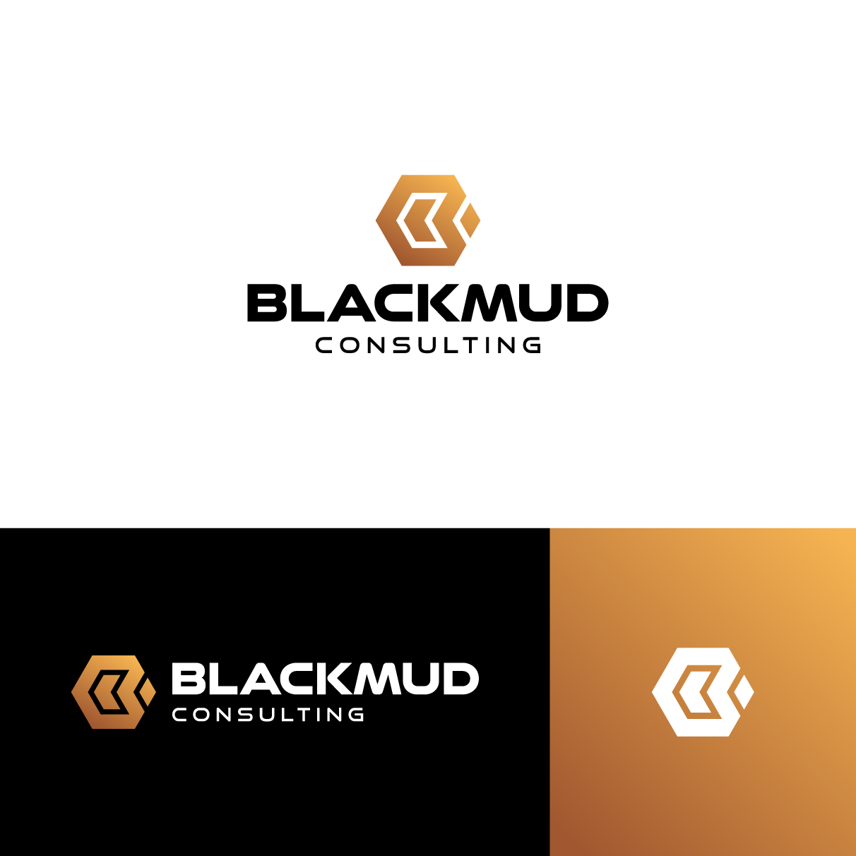 Logo Design by The Lion Studios for this project | Design #33595435