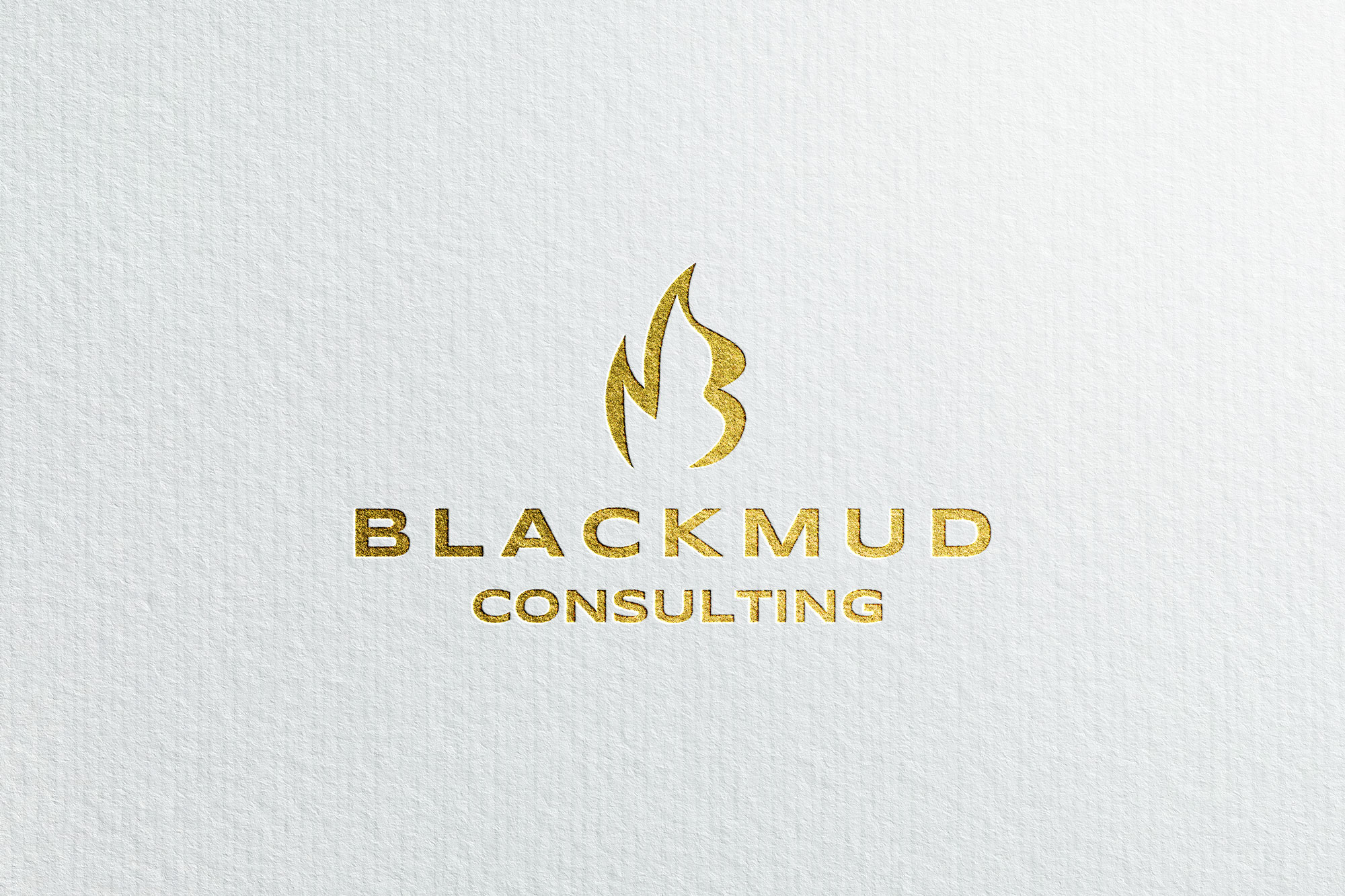 Logo Design by zeykan for this project | Design #33631677
