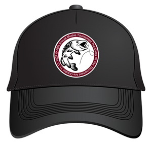 Apparel Design by Yayan gesuter for Fastpitch Masters LLC | Design #33639208