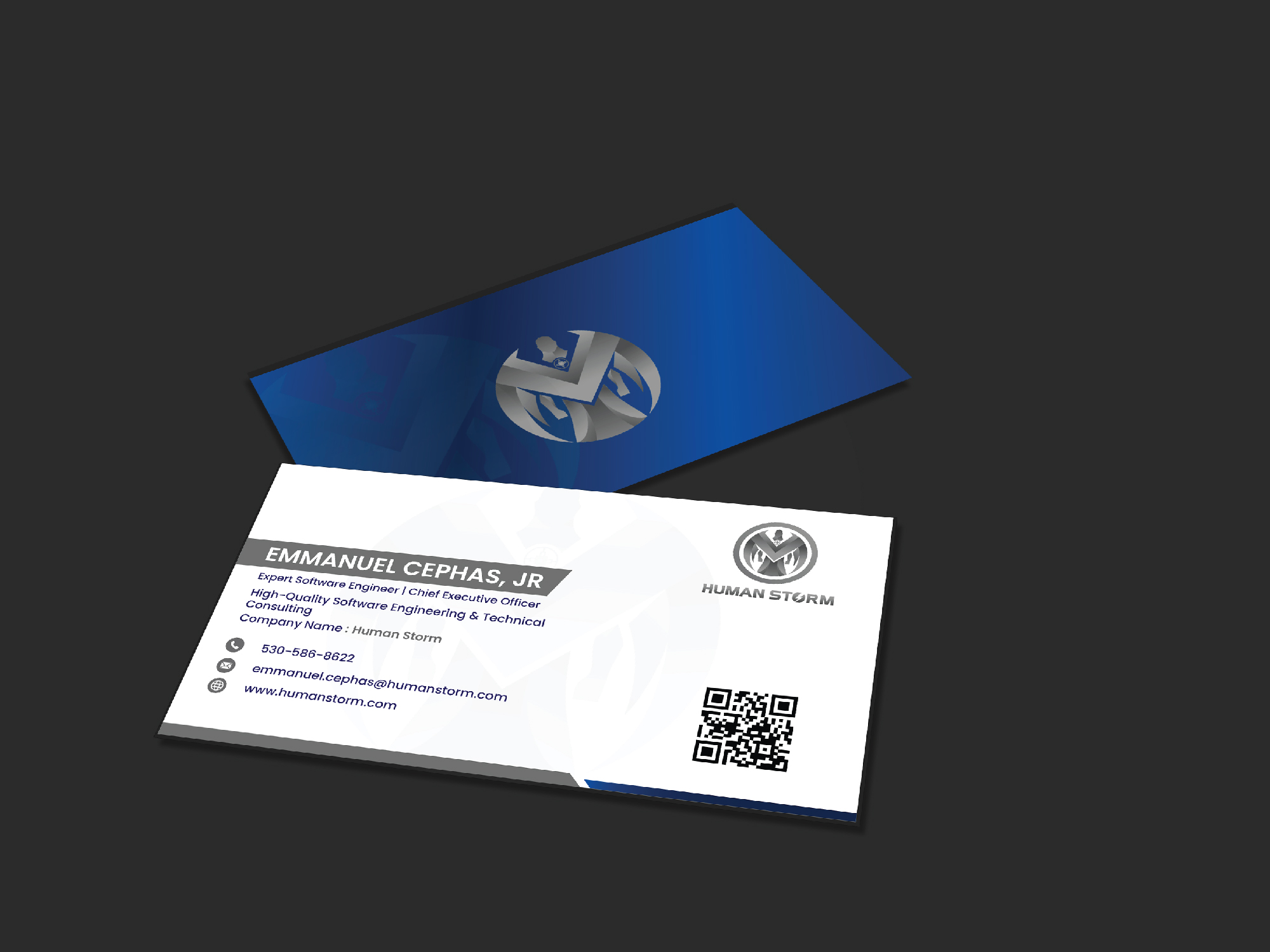 Business Card Design by Maxo-Biz for this project | Design #33601574