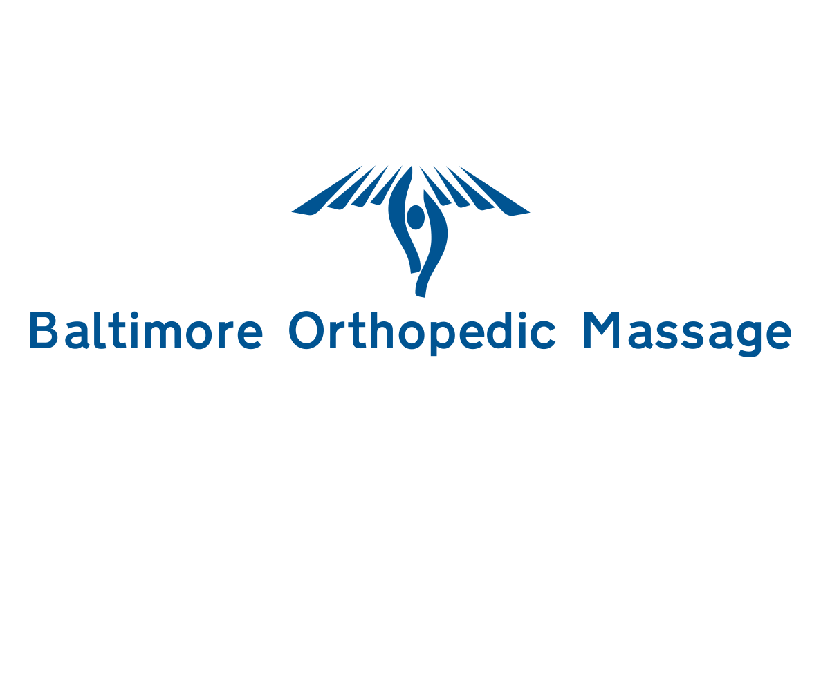 Logo Design by Matrixmermaid for this project | Design #3146864