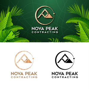 Logo Design by dmec