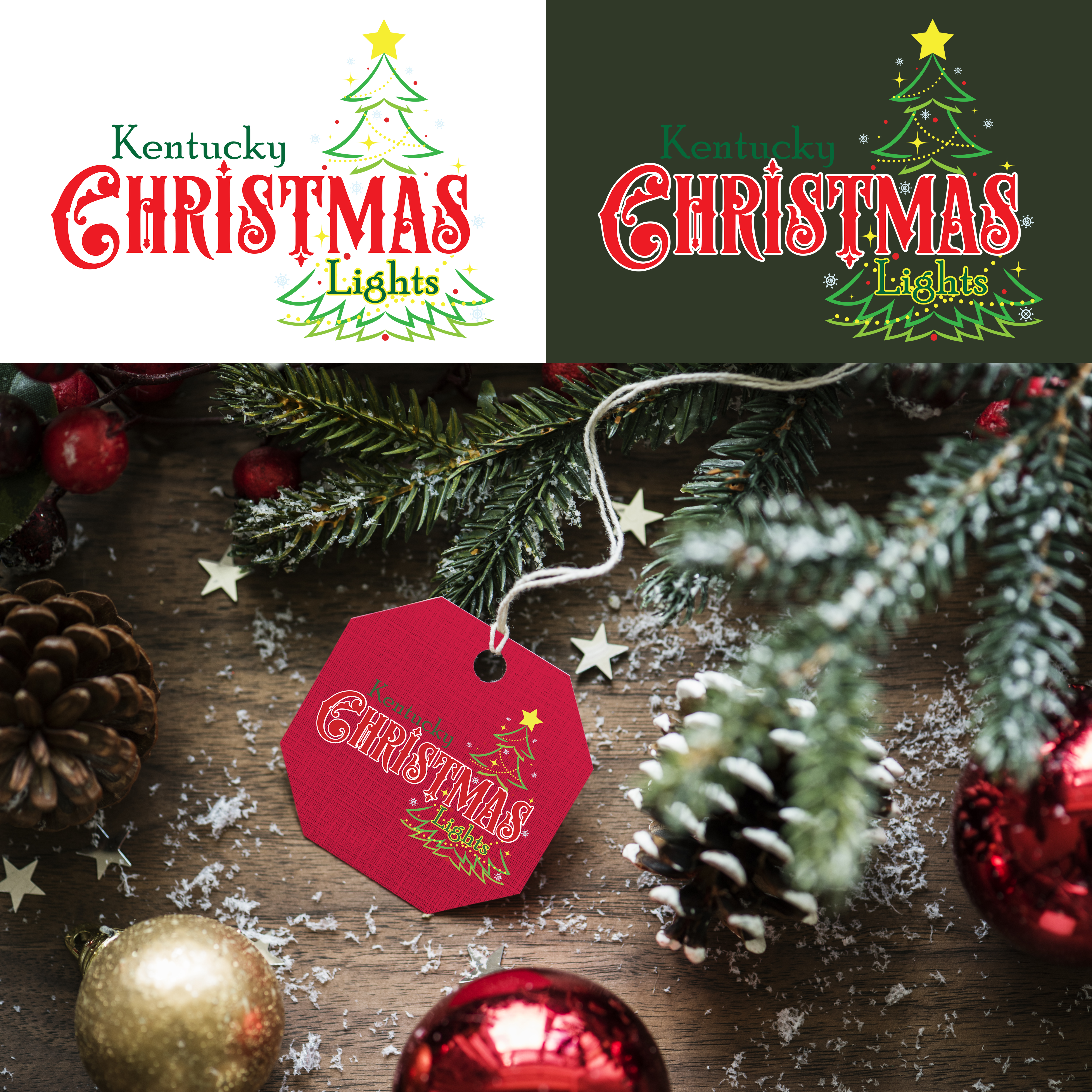 Diseño de Logo por CreativeDesigns081 para este proyecto | Diseño #33640951