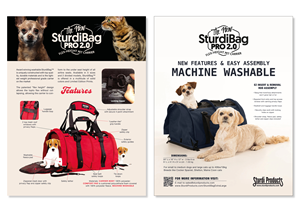 Flyer Design by MarkoE for this project | Design #33619766