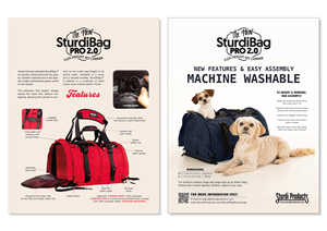 Flyer Design by MarkoE for this project | Design: #33693056