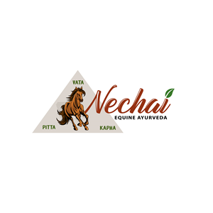 Logo Design by Design24X7