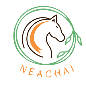 Logo Design by gulf web