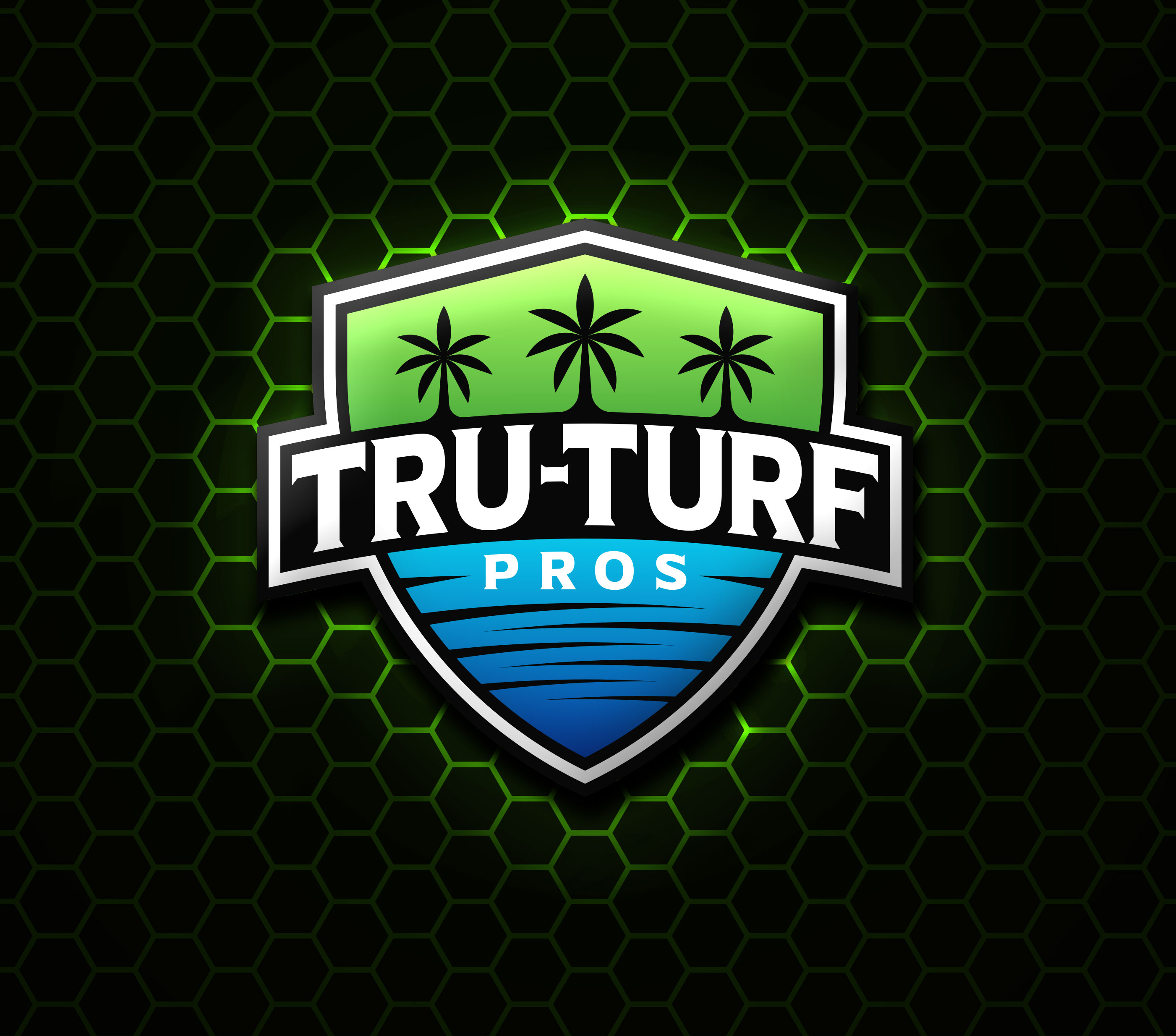 Logo-Design von loveqis für dieses Projekt | Design #33623581