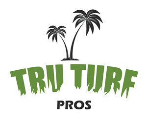 Logo-Design von Alex.koro für dieses Projekt | Design #33636982