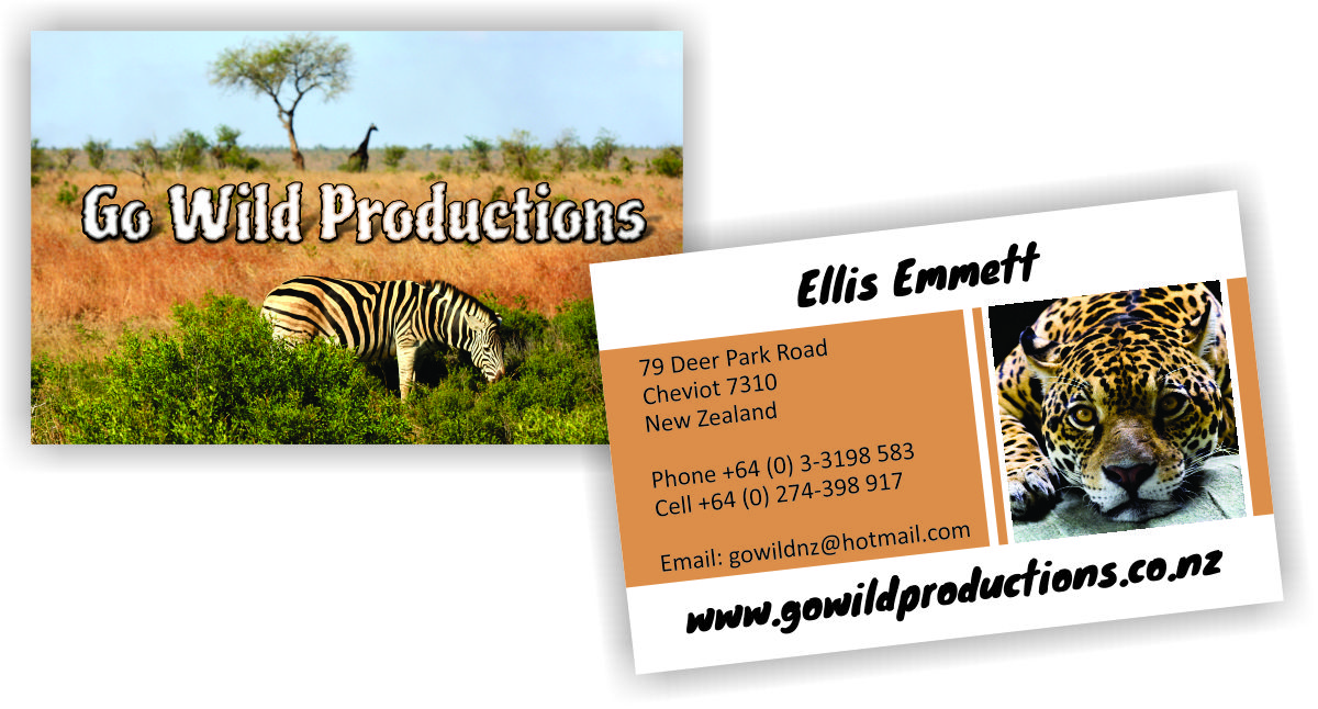 Business Card Design by Lucia for this project | Design #753845
