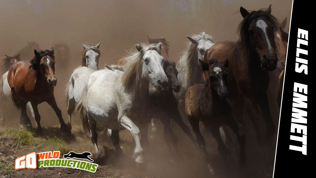 Business Card Design by Respect for this project | Design #757694