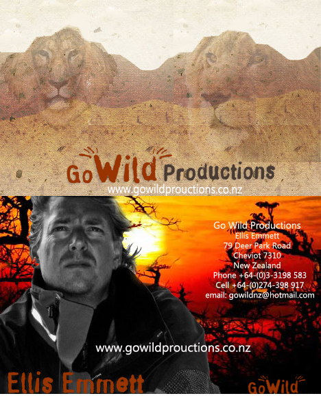 Business Card Design by Vision214 for this project | Design #773184