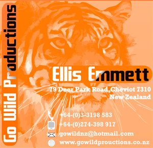 Business Card Design by Tadzky