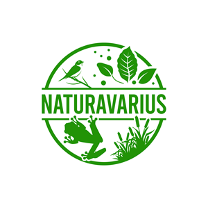 Logo Design by John Mark Arts for this project | Design #33639011