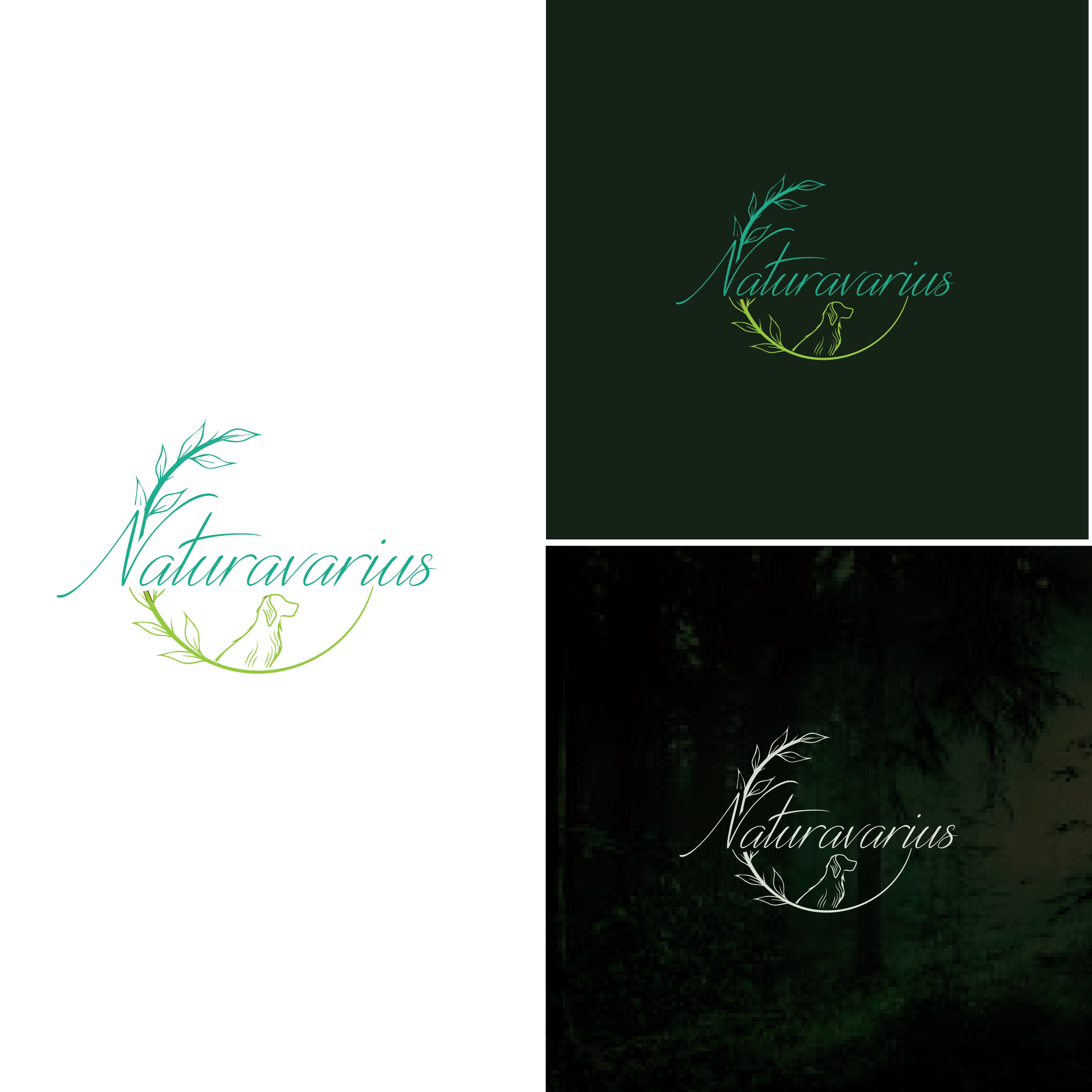 Logo Design by Deziners Zone for this project | Design #33630884