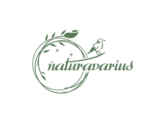 Logo Design by Ansh Design for this project | Design: #33631447