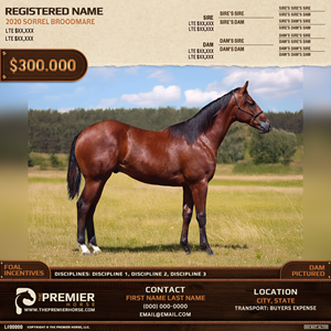 Graphic Design by {mega- for this project | Design: #33636038