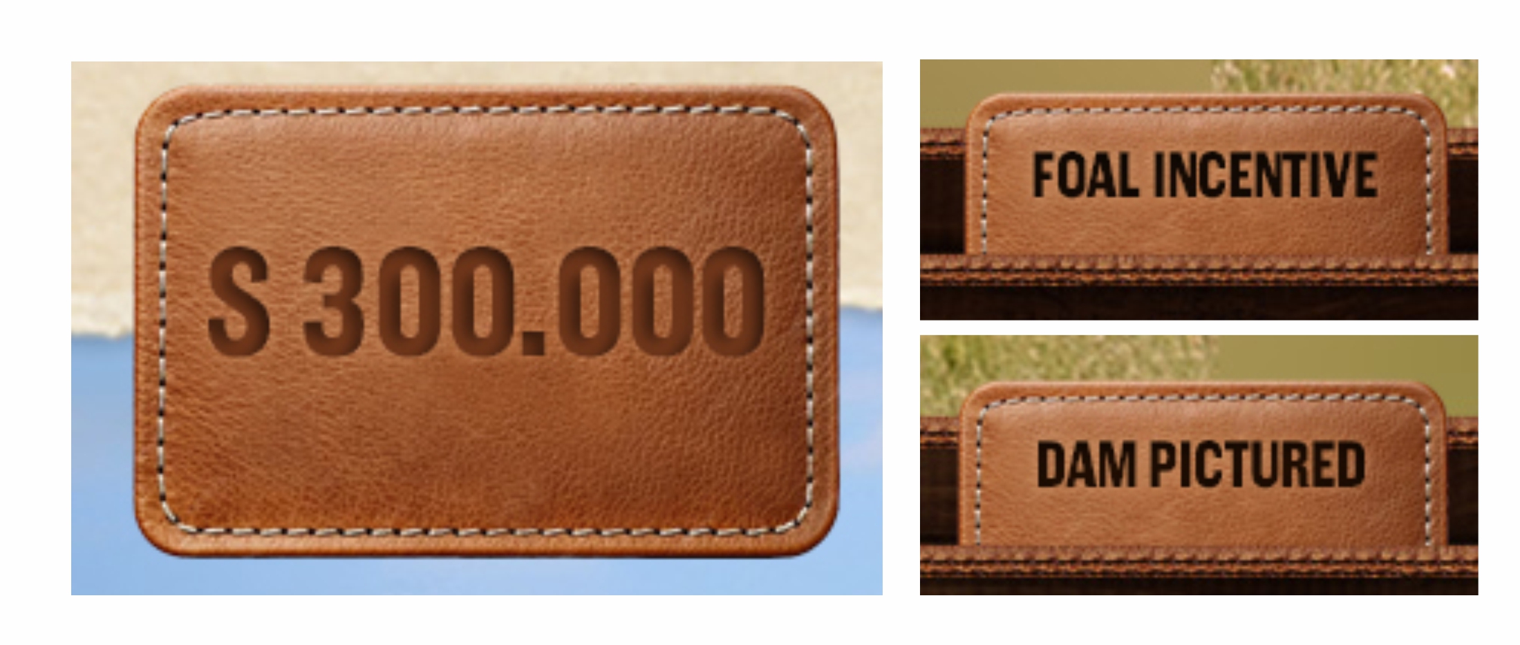 Graphic Design by S A N T O C I E L O for this project | Design #33671052