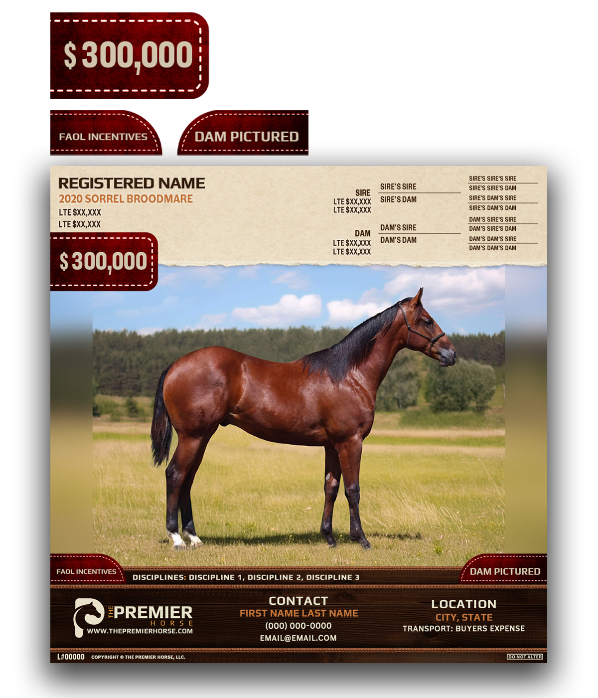 Diseño Gráfico por nguruzzdng para este proyecto | Diseño #33630134