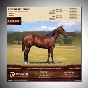 Graphic Design by Fine Graphics House for this project | Design: #33644980