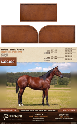 Leading equine advertising company needing three elements designed for an ad design