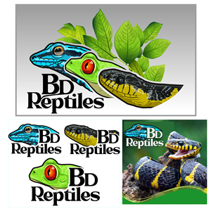 Logo Design by potoko