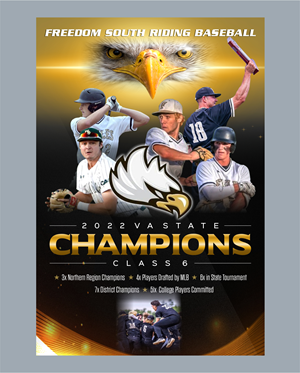 Design de Flyer par erikdesign pour Rip City Baseball & Softball | Design : #33682675