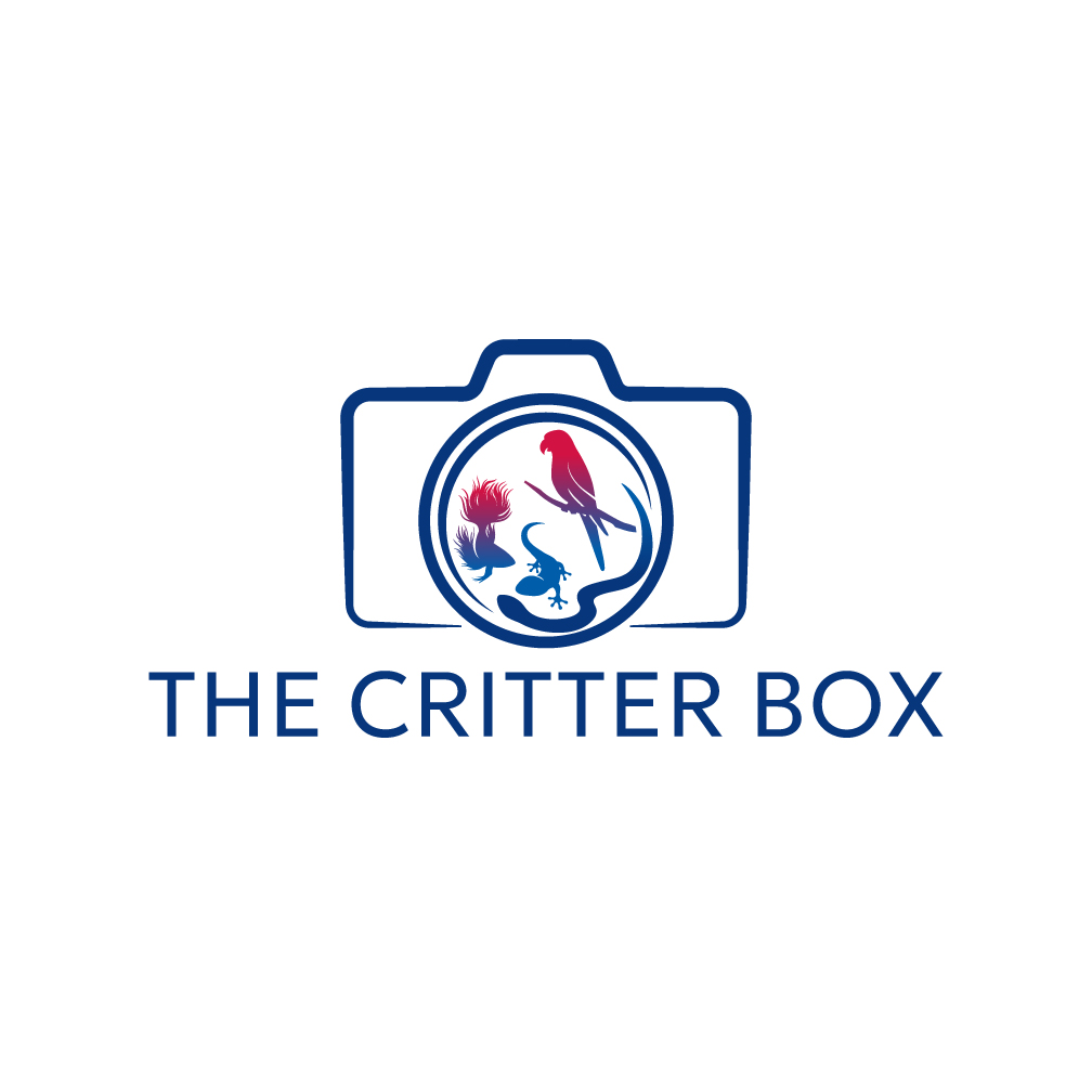 Logo-Design von Franabanana für dieses Projekt | Design #33715847