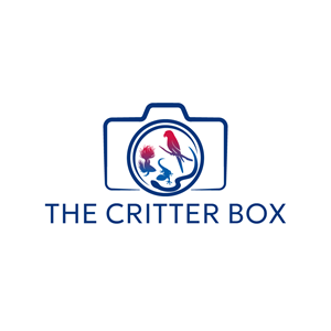 Logo-Design von Franabanana für dieses Projekt | Design: #33715847