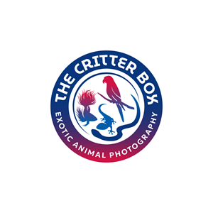 Logo-Design von Franabanana für dieses Projekt | Design: #33715874