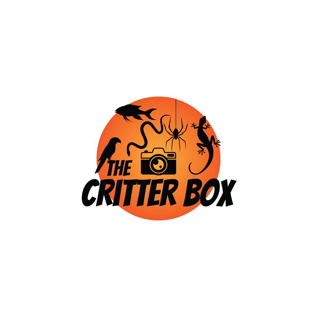 Logo-Design von JohnnyCactus für dieses Projekt | Design #33710983