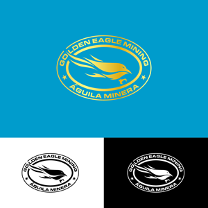 Logo Design by Barish Design for this project | Design: #33721612